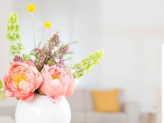 Empfang der Frauenarztpraxis Dr. Graf und Dr. Frick in M&uuml;nchen Obermenzing